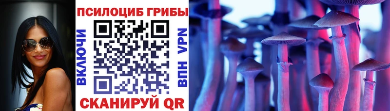 Галлюциногенные грибы мухоморы  Купить закладки  Камбарка 